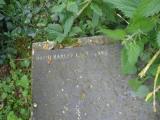 image of grave number 244197